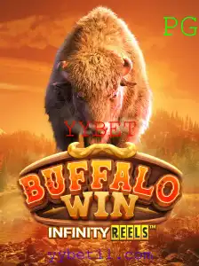 Descubra a Emoção do Jogo BuffaloWin com YYBET